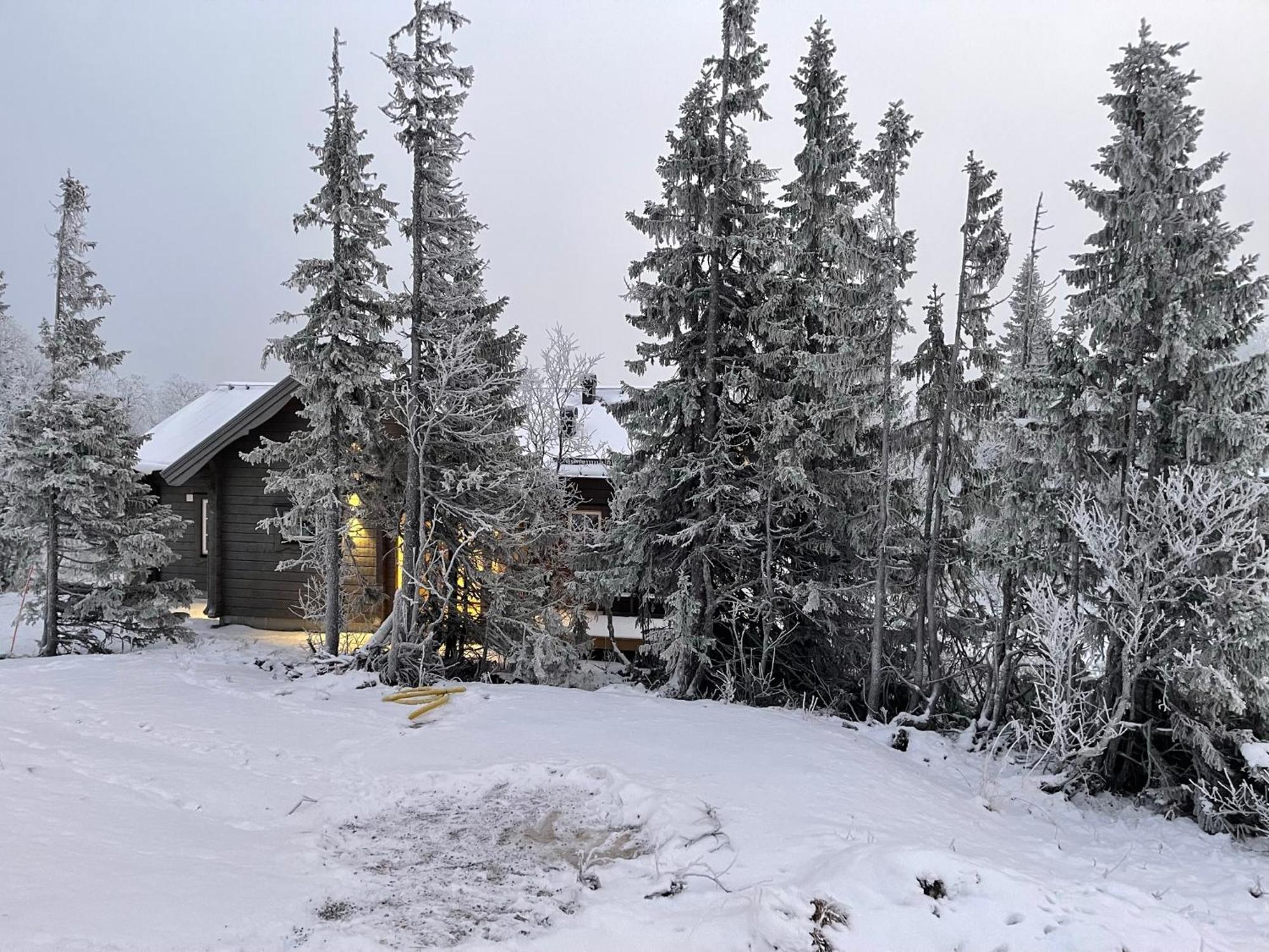 Mountain Holiday Homes - Ottsjoe, Trillevallen -Sweden Åre Pokoj fotografie
