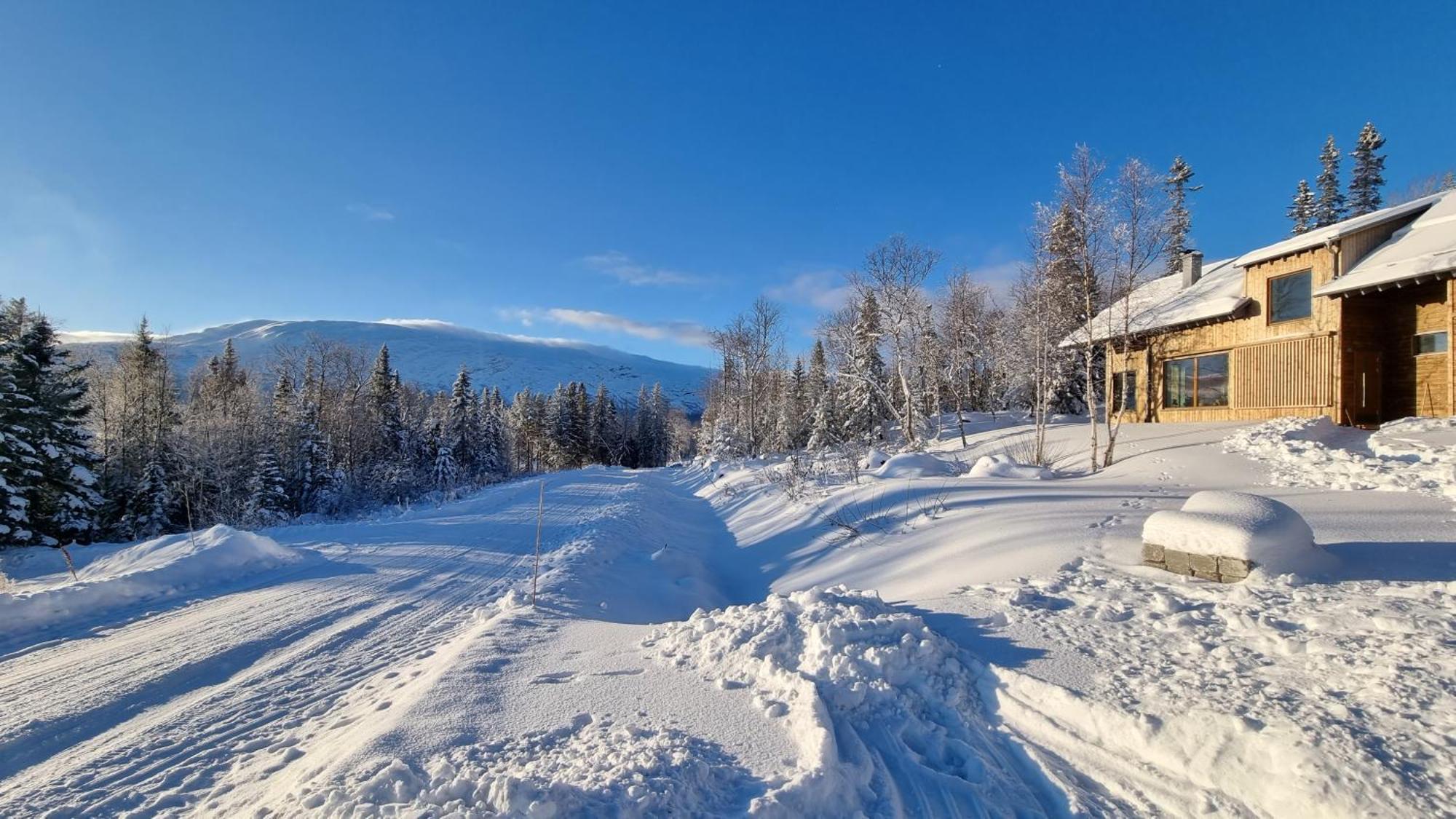 Mountain Holiday Homes - Ottsjoe, Trillevallen -Sweden Åre Pokoj fotografie