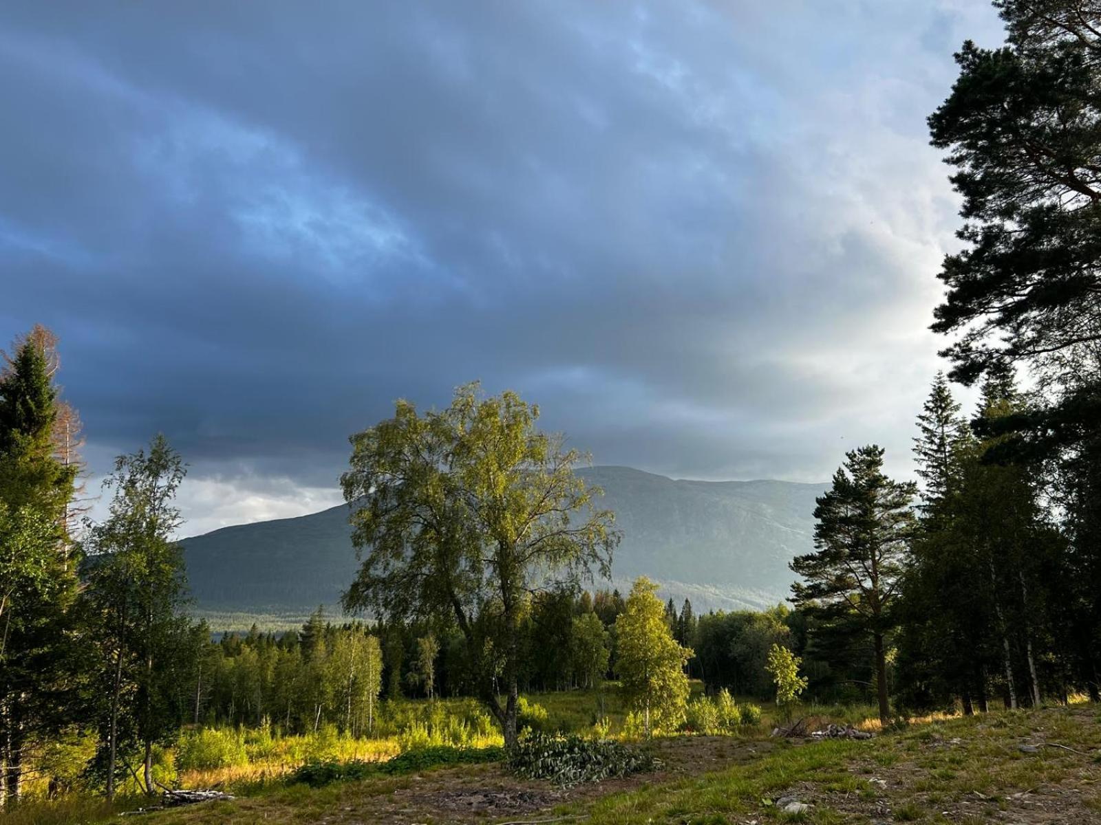 Mountain Holiday Homes - Ottsjoe, Trillevallen -Sweden Åre Pokoj fotografie